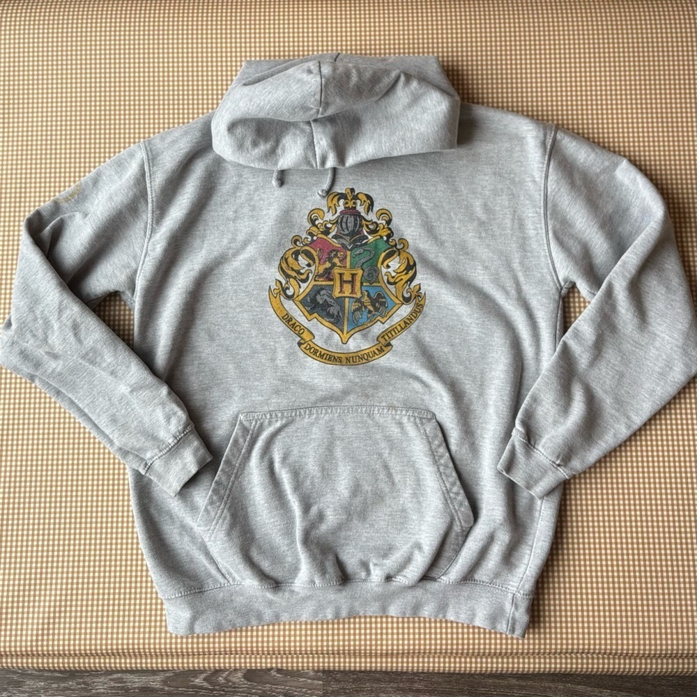 Harry Potter Platform 9 3/4 Hoodie XL
Mens Gray Graphic Pullover